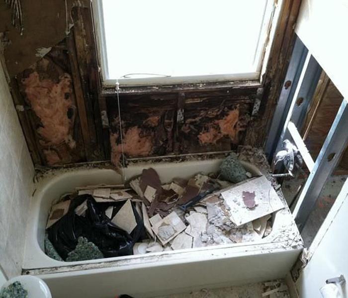 Mold infestation by bathtub. 