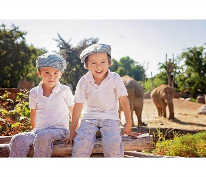 Two children dressed the same outfit in front of elephants. 