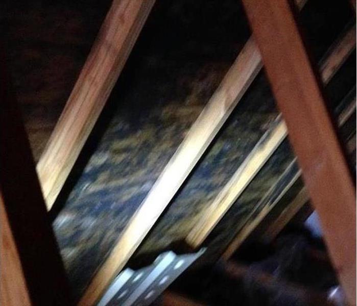 Mold growth in attic